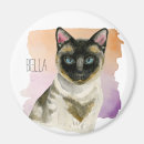 Search for siamese magnets Kitty
