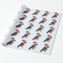 Search for falcon wrapping paper Peregrine