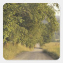 Search for dirt road stickers Nature