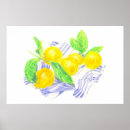 Search for towels posters Fruit