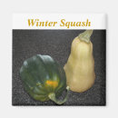 Search for squash magnets Gourd