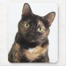 Search for tortoiseshell mouse mats Tortie