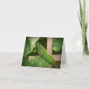 Search for cucumber cards Garden