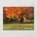 Search for golf horizontal postcards Connecticut