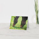 Search for best friends horse cards Animal