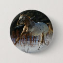 Search for appaloosa badges Snow