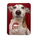 Search for jack russell terrier christmas cards Canine