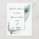 Search for love peacocks postcards Feather