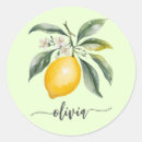 Search for lemon yellow stickers Nature