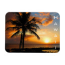 Search for hawaii magnets Honolulu