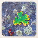 Search for oak leaf coasters Botanical