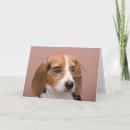 Search for side view cards Animal