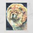 Search for chow chows postcards Puppies
