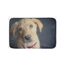 Search for fox red labrador gifts Pets