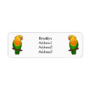 Search for parakeet return address labels Cockatiel