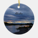 Search for storm christmas tree decorations Nature