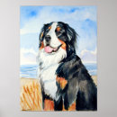 Search for bernese posters Pets