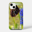 Search for morpho iphone cases Blue morpho butterfly