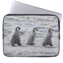 Search for chick laptop cases Snow