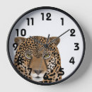 Search for jaguar clocks Wild animals