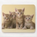 Search for prefectures mouse mats Togetherness