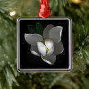 Search for magnolia blossom christmas tree decorations Bloom