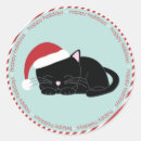 Search for cute funny animals stickers Pets