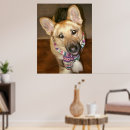 Search for loveable posters Pet