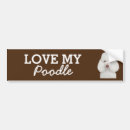 Search for poodle bumper stickers Dogs