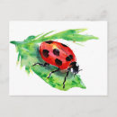 Search for lady bug postcards Colourful