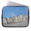 Search for antarctic peninsula electronics Antarctica