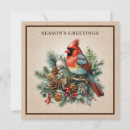 Search for nature inspired christmas cards Red bird