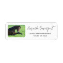 Search for brown animal return address labels Equine