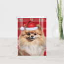 Search for pomeranian christmas cards Pets