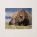 Search for grizzly bear puzzles Portrait