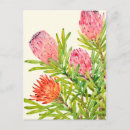 Search for tropical colours postcards Watercolor