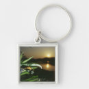 Search for balancing key rings Nature