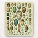 Search for natural history mouse mats Vintage