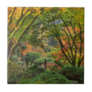 Search for japanese garden tiles Fall