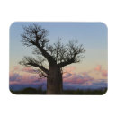 Search for madagascar magnets Landscape