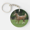 Search for appaloosas key rings Equestrian