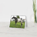 Search for black leopard cards Black and white