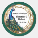 Search for vintage blue bird cards Peacock