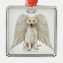 Search for innocence christmas tree decorations Studio shot