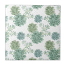 Search for succulent tiles Cactus