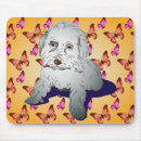 Search for maltipoo electronics Maltese