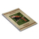 Search for red panda notebooks Nature