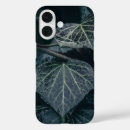 Search for 4 leaf photography Plant