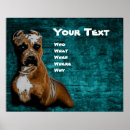 Search for american pit bull terrier posters Amstaff