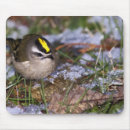 Search for tiny mouse mats Yellow